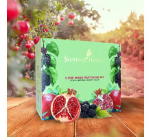 Kit Facial 5 Step Mixed Fruit, 50 grams
