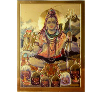 Magnet Shiva